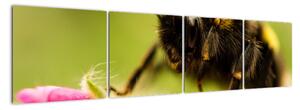 Včela - obraz (160x40cm)