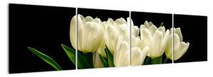 Bílé tulipány - obraz (160x40cm)