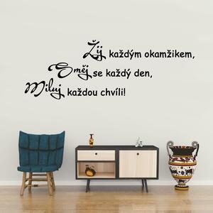 Směj miluj žij - vinylová samolepka na zeď - 80x28cm