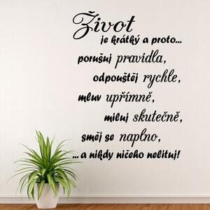 Život je krátký a proto - vinylová samolepka na zeď - 80x59cm
