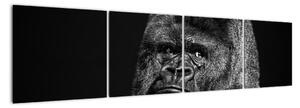 Obraz opice (160x40cm)