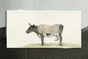 Obraz na skle Obraz na skle Kráva