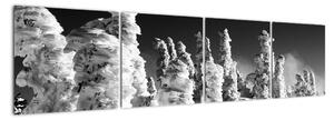 Obraz - zimní hory (160x40cm)
