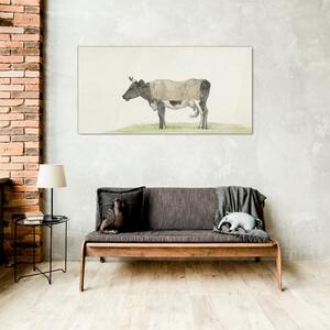 Obraz na skle Obraz na skle Kráva
