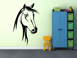 Kůň a jeho tvář - Samolepka na zeď - 100x62cm