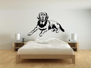 Pes Labrador - Samolepka na zeď - 100x66cm