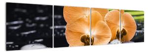 Květ orchideje - moderní obraz (160x40cm)