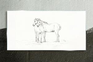 Obraz na skle Obraz na skle Kreslení zvířat Koně