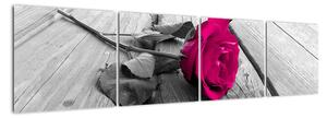 Obrazy květin - růže (160x40cm)