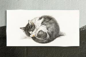 Obraz na skle Obraz na skle Kreslení zvířat kočka