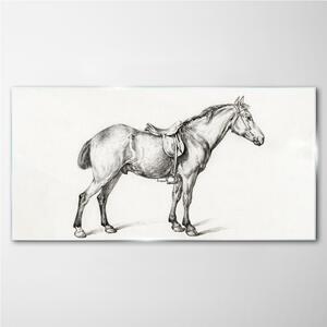 Obraz na skle Obraz na skle Kreslení zvířecího koně