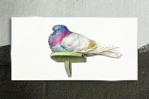 Obraz na skle Obraz na skle Zvířecí pták holub