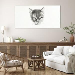 Obraz na skle Obraz na skle Kreslení zvířat kočka