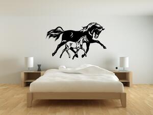 Koně - Kobyla a hříbě - Samolepka na zeď - 100x60cm