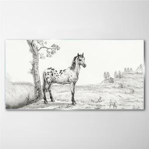 Obraz na skle Obraz na skle Kresba koní zvířata