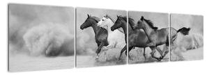 Obraz cválajících koňů (160x40cm)