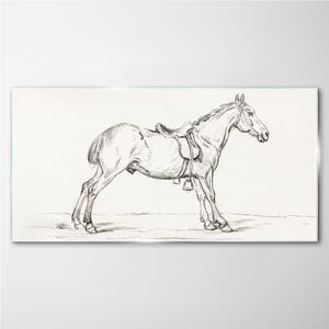 Obraz na skle Obraz na skle Kreslení zvířecího koně