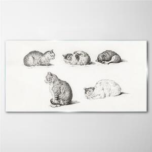 Obraz na skle Obraz na skle Kreslení zvířat koček