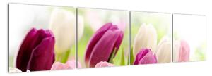 Tulipány, obrazy (160x40cm)
