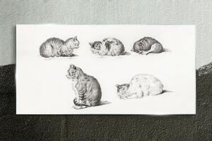 Obraz na skle Obraz na skle Kreslení zvířat koček