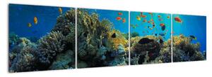 Obraz podmořského světa (160x40cm)