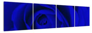 Detail modré růže - obraz (160x40cm)