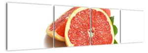 Grapefruit - obraz (160x40cm)