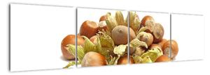 Lískové ořechy - obrazy (160x40cm)
