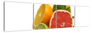 Citrusové plody - obraz (160x40cm)