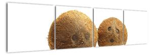 Kokosový ořech, obraz (160x40cm)