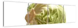 Hlávkové zelí, obraz (160x40cm)