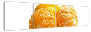 Pomeranče, obraz (160x40cm)
