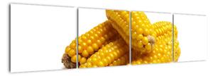 Kukuřice, obraz (160x40cm)