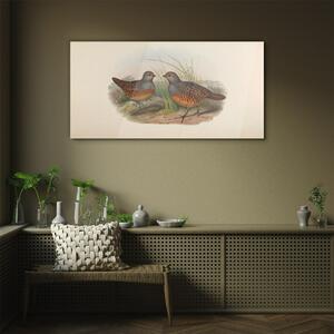 Obraz na skle Obraz na skle Ptáci zvířata kreslení