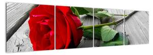 Obraz růže (160x40cm)