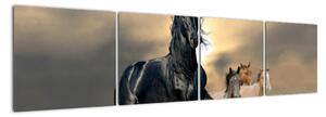 Obraz koně (160x40cm)