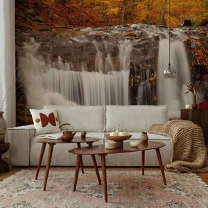Fototapeta Autumn landscape : waterfall in forest