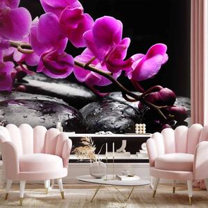 Fototapeta Okamžik relaxace - květy orchidejí na kamenech zen na černém pozadí