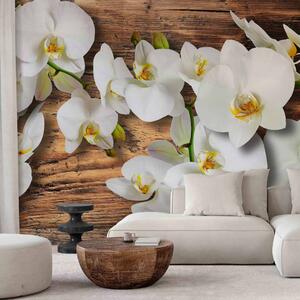 Fototapeta Rostlinná kompozice s dřevem - orchideje ležící na dřevě