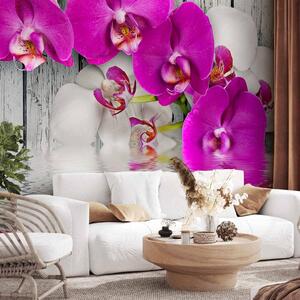 Fototapeta Rostlinná kompozice s dřevem - orchideje ležící na hladině vody