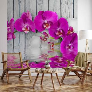 Fototapeta Violet orchids with water reflexion
