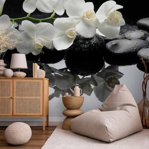 Fototapeta SPA, kameny a orchidej - přírodní květinové motivy na černém pozadí