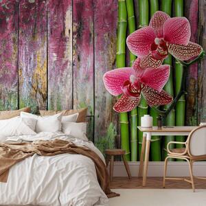Fototapeta Orchidej v centru - květinový motiv na dřevěném pozadí s bambusy