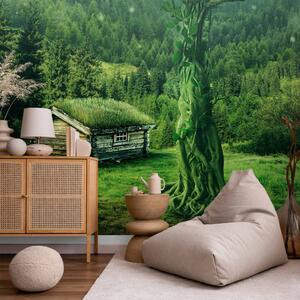 Fototapeta Zelená samota - horská krajina s bujným lesem a domem ve středu