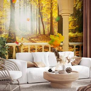 Fototapeta Prostor - krajina z okna s podzimními stromy a padajícími listy
