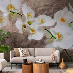 Fototapeta Orchidejové květy - rostlinný motiv na pozadí nepravidelné textury