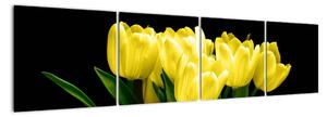 Tulipány - obraz (160x40cm)