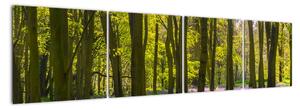Obraz lesa (160x40cm)