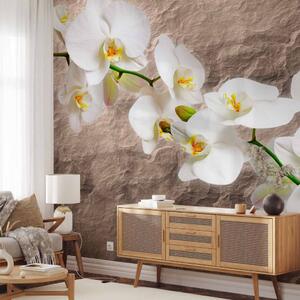 Fototapeta Květy orchidejí - bílé květy na šedém pozadí s nepravidelnou texturou