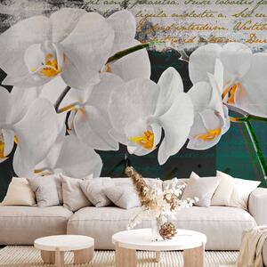 Fototapeta Orchidej - inspirace básníkem je bílý rostlinný motiv s nápisy